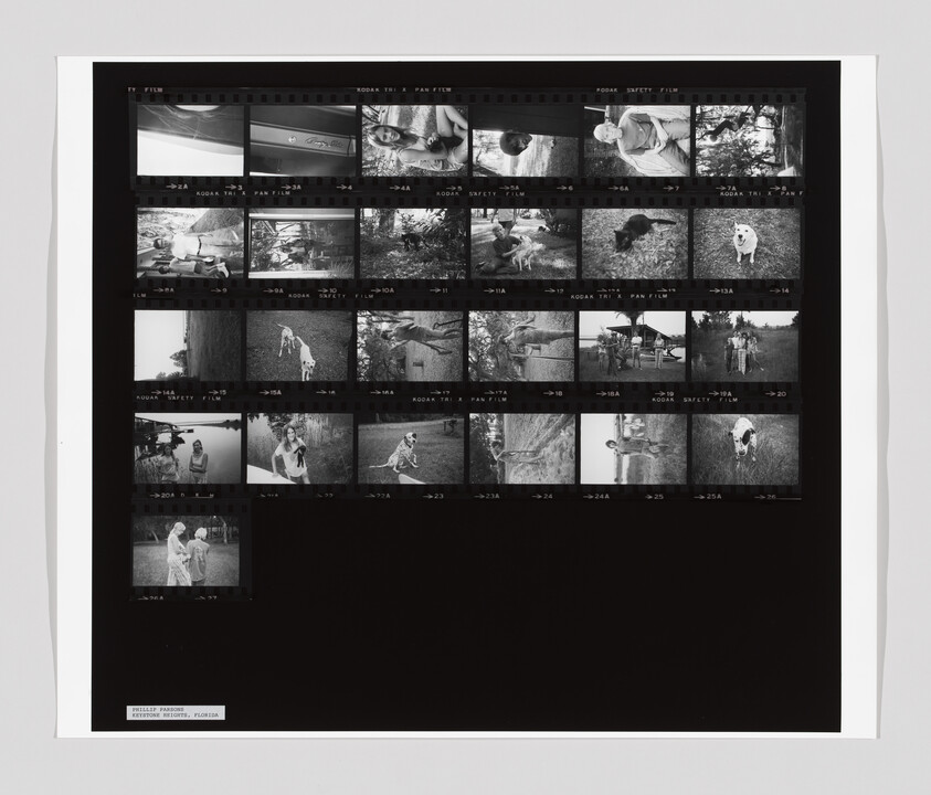 Contact sheet of black-and-white negatives showing people and dogs outdoors in various poses.