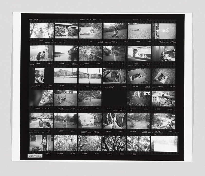A black and white contact sheet shows multiple small photos of people outdoors, playing, and interacting with nature.