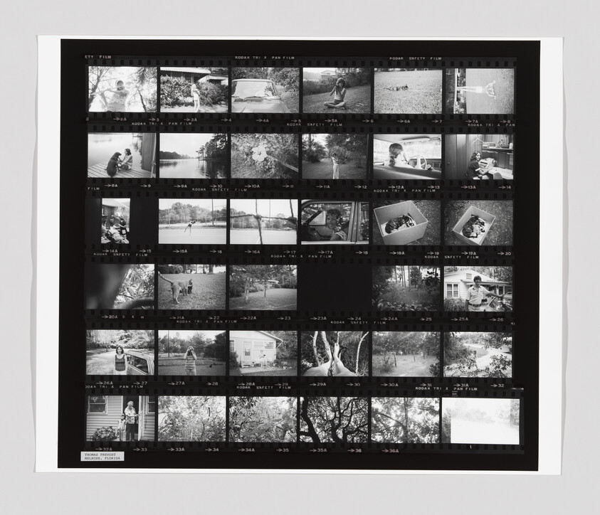 Contact sheet of black-and-white film negatives showing various outdoor and home scenes with people.