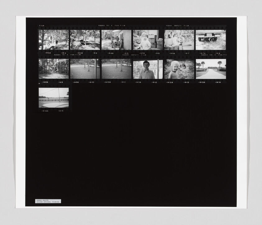 A contact sheet with small black-and-white photos showing people, trees, and outdoor scenes in a sunny area.