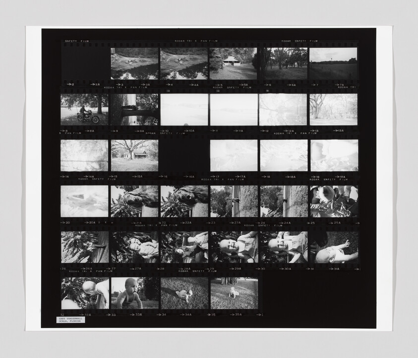 Contact sheet showing multiple small black-and-white photos of a baby, outdoor scenes, and animals.