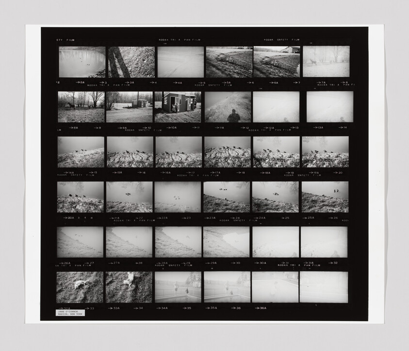 A black and white contact sheet shows multiple small photos of outdoor scenes, birds, people, and snowy landscapes.