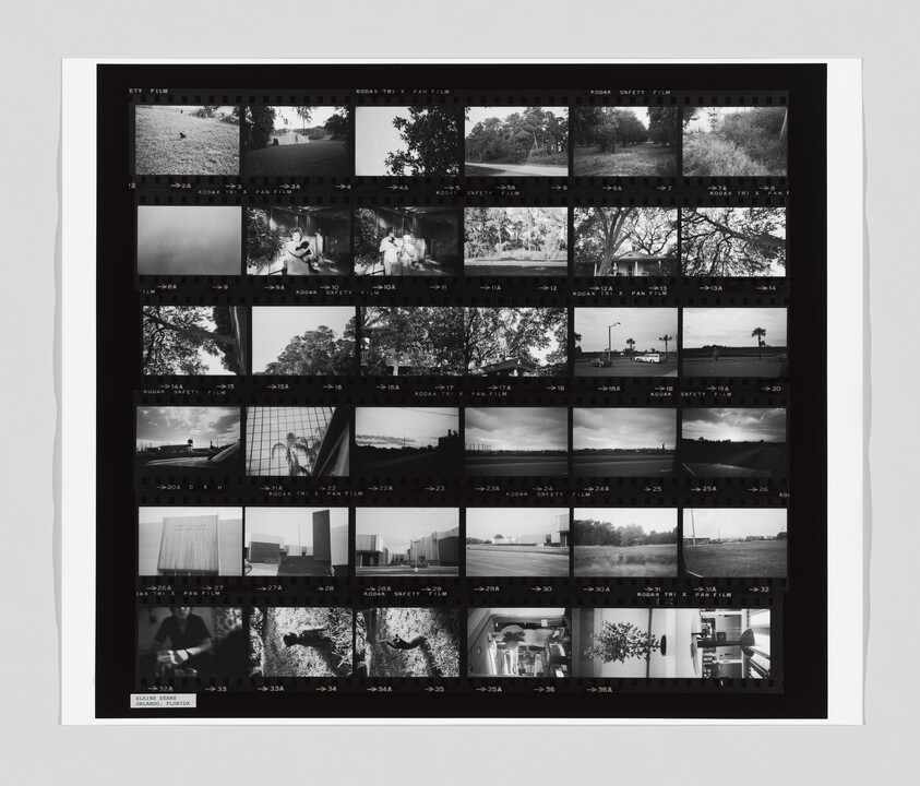 A black and white contact sheet shows multiple small photos of outdoor scenes, buildings, and people in various activities.