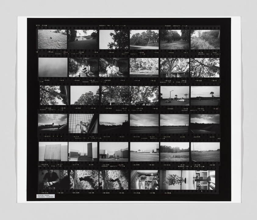 Black-and-white contact sheet showing multiple small film frames of landscapes, trees, buildings, and people.