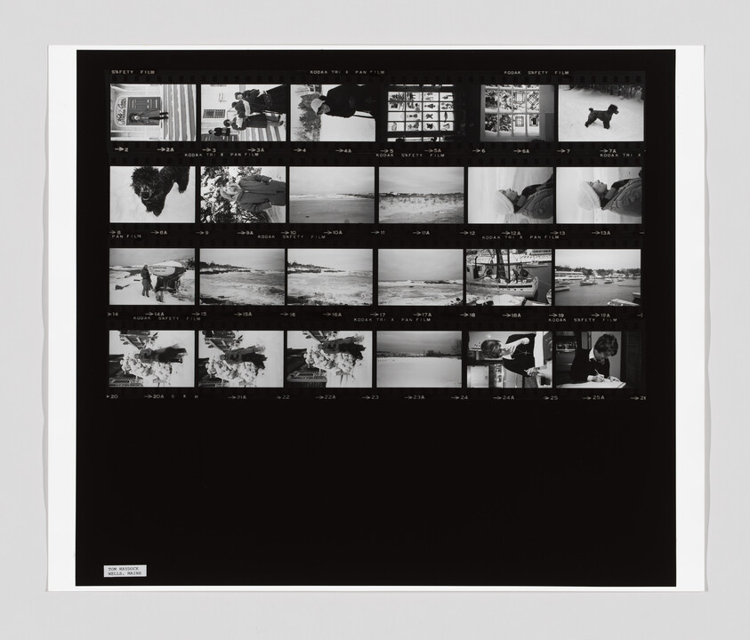 A black and white contact sheet shows small photos of people, a dog, beach scenes, and someone writing.