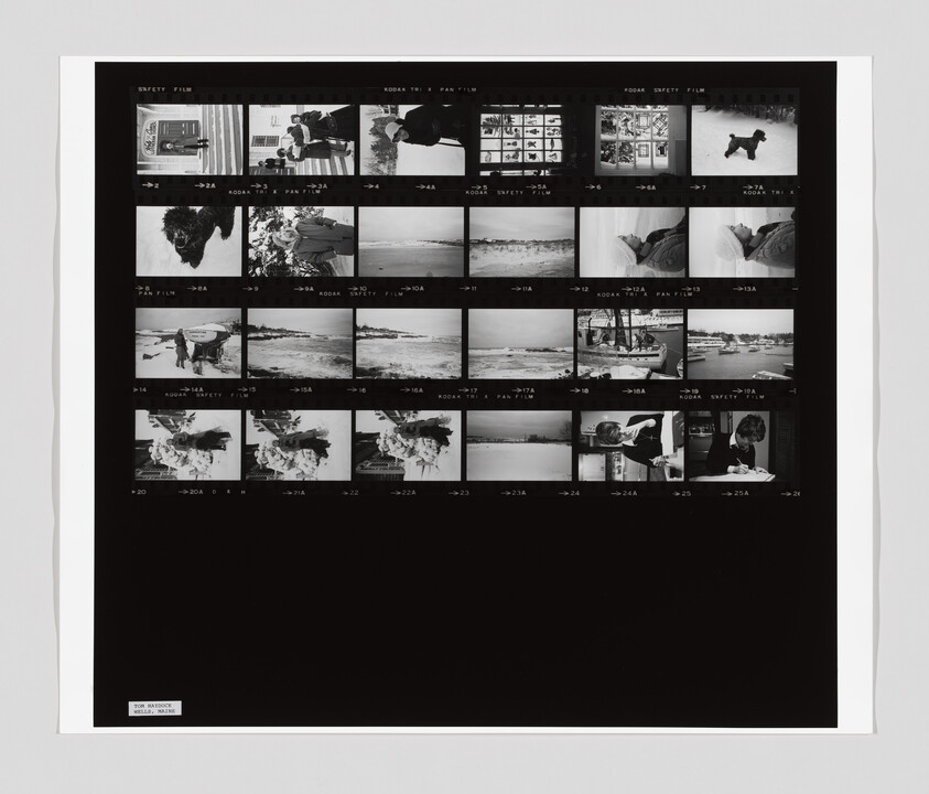 Black-and-white contact sheet showing rows of small photographic negatives of people, beaches, and boats.