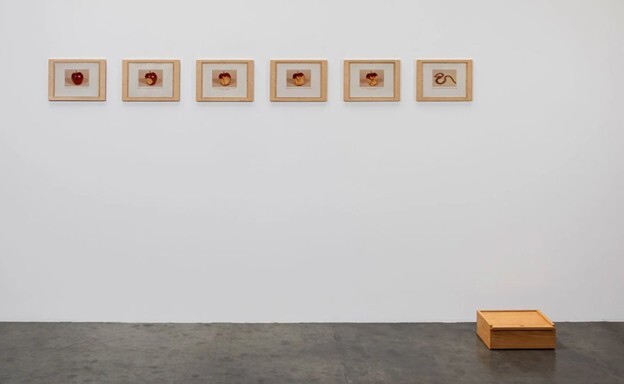 Six small framed fruit images hang in a row above a wooden box on the floor.