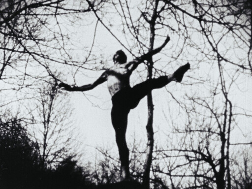 A Study in Choreography for Camera