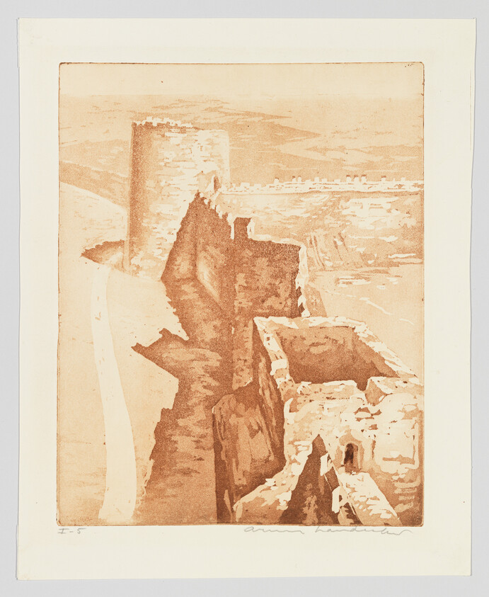 Ruined stone fortress walls and towers sit along a cliff overlooking a distant landscape.