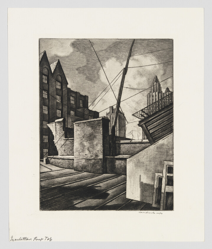 Rooftop scene with brick chimneys, angled skylight, and utility wires against a cloudy sky.