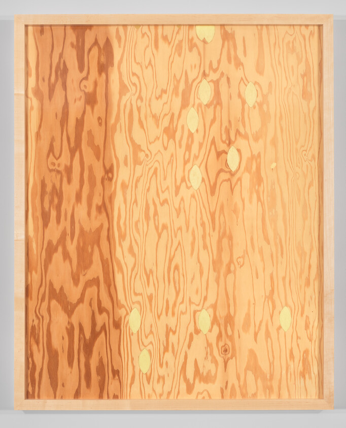 A framed plywood panel showing light wood grain patterns and several knot patches.