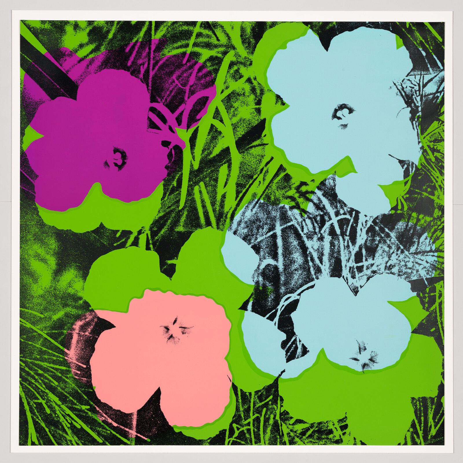 Four large brightly colored pop-art flowers in magenta, pink, and pale blue on green.