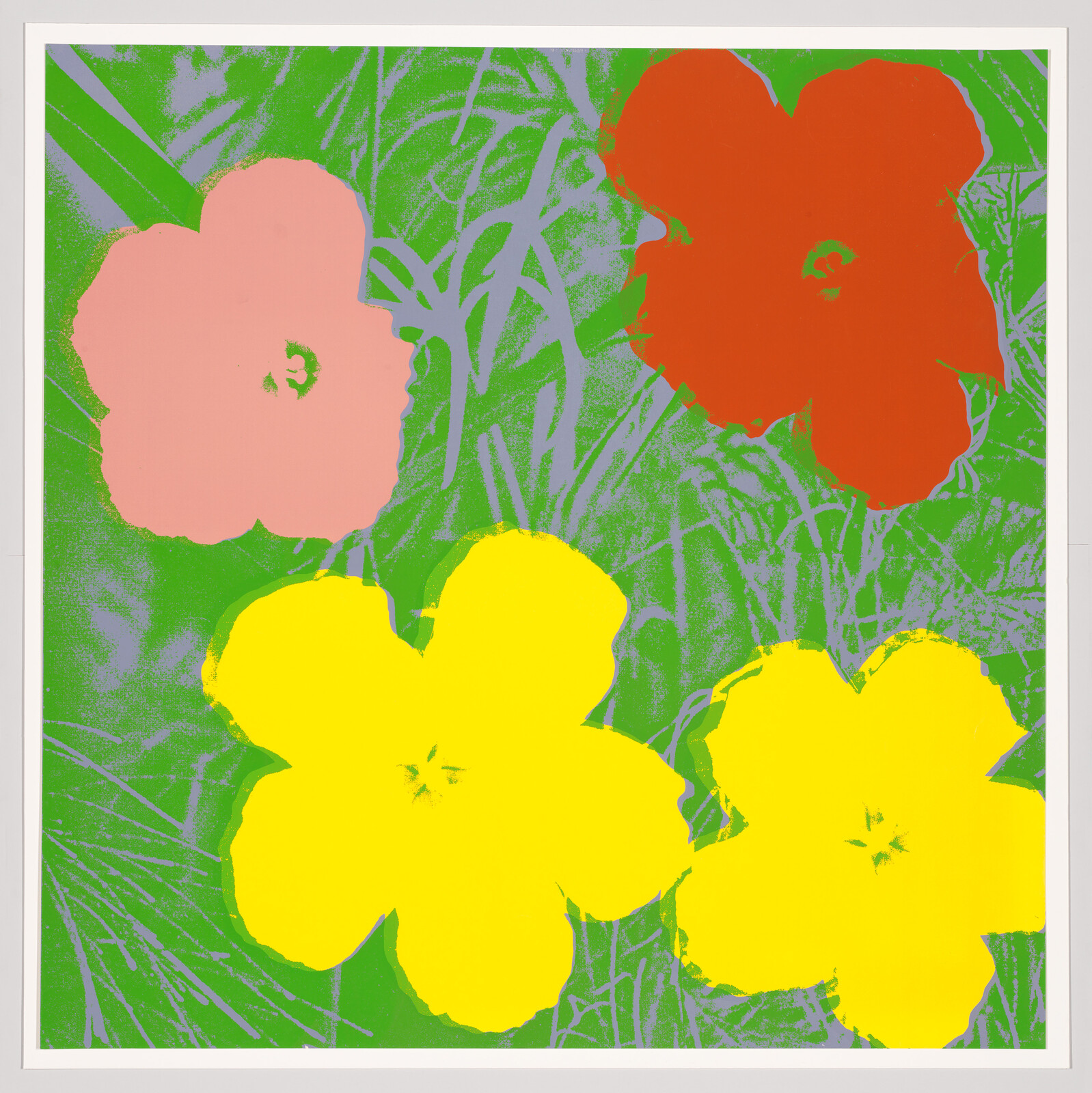 Four large flat flowers in pink, red, and yellow against a green grass-like background.
