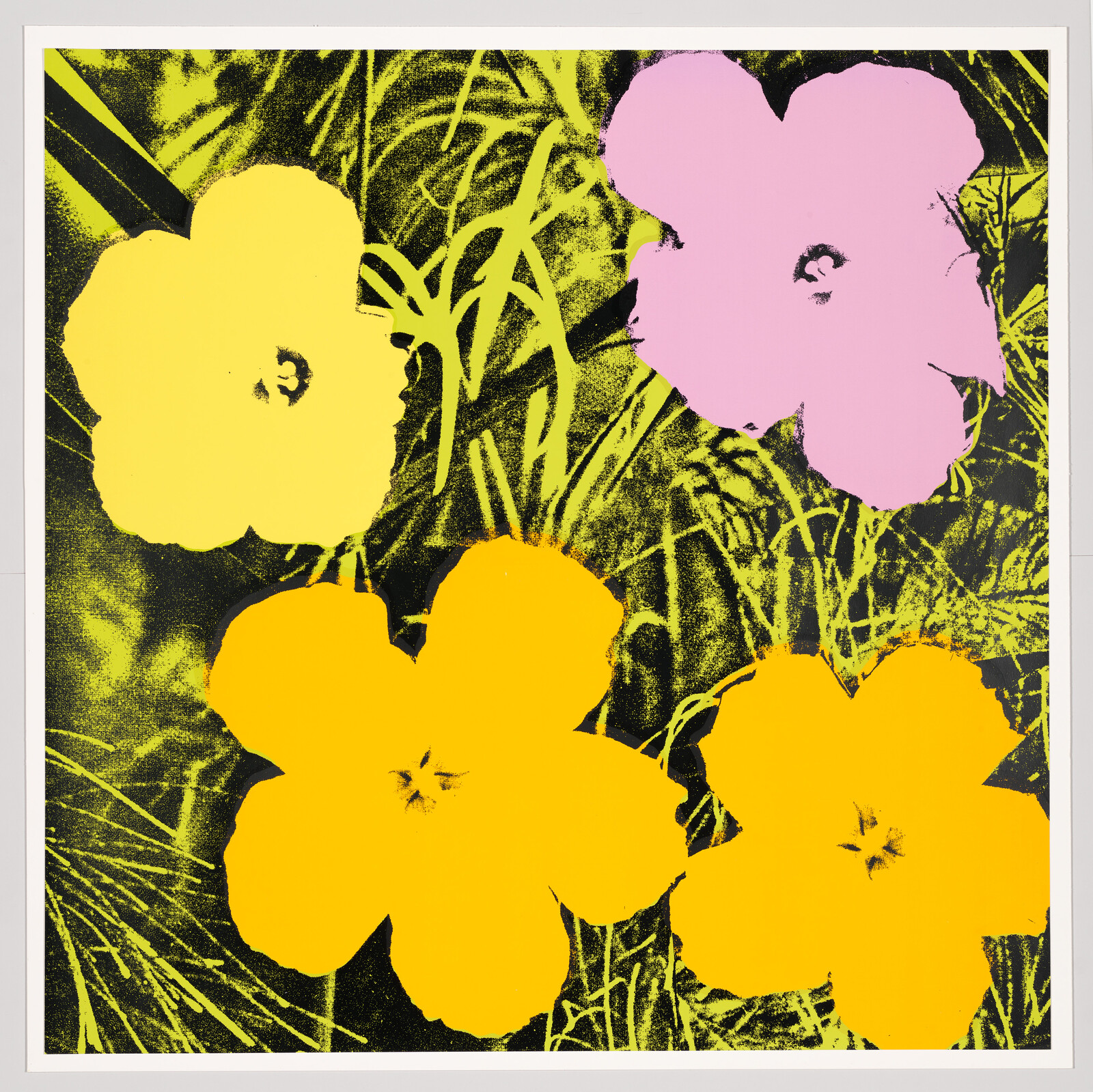 Four large flat-colored flowers in yellow, orange, and pink against a dark grassy background.