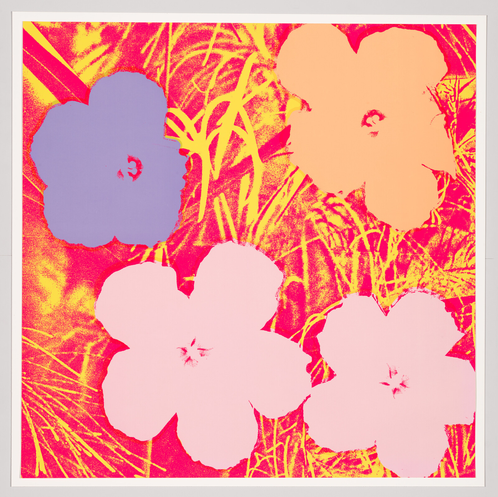 Five large stylized flowers in bright pop-art colors against a yellow and pink textured background.