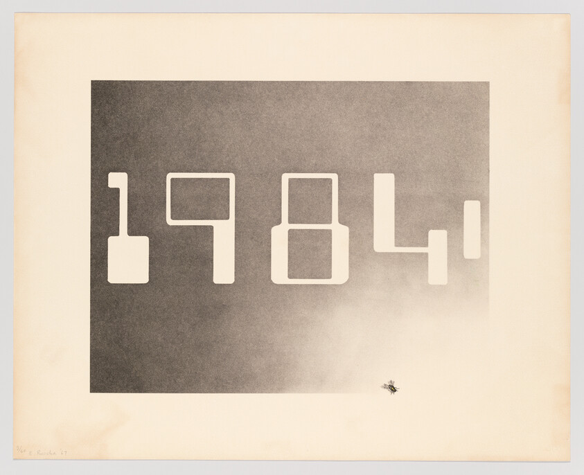 Large stylized numbers "1984" in a dark rectangle with a small fly near the bottom.