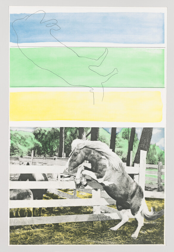 A horse rears and jumps against a wooden fence in a grassy paddock with trees.