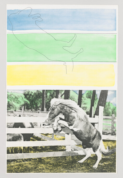 A horse rears and jumps against a wooden fence in a grassy paddock with trees.