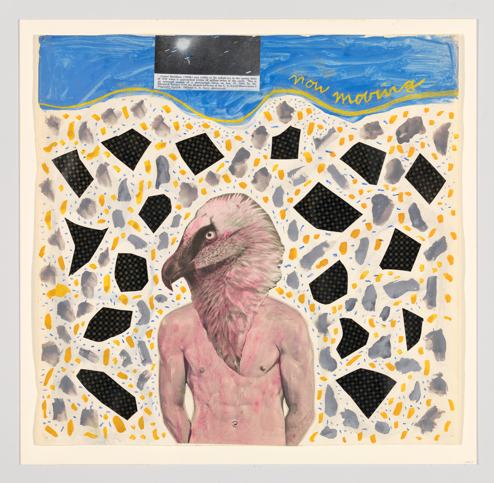 A shirtless human body with a vulture head stands against a colorful patterned collage background.