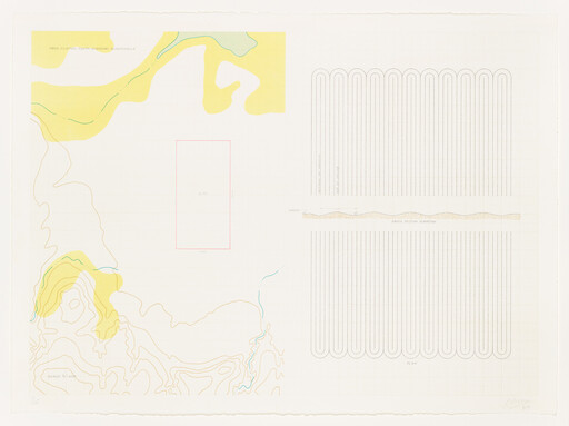 Topographic map showing contour lines, a marked rectangular site, and a looping irrigation plan.