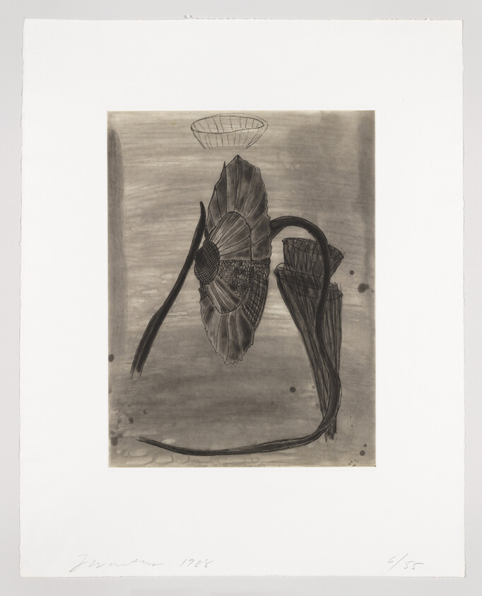 A dark, wilted sunflower with a curved stem and drooping petals against a gray background.