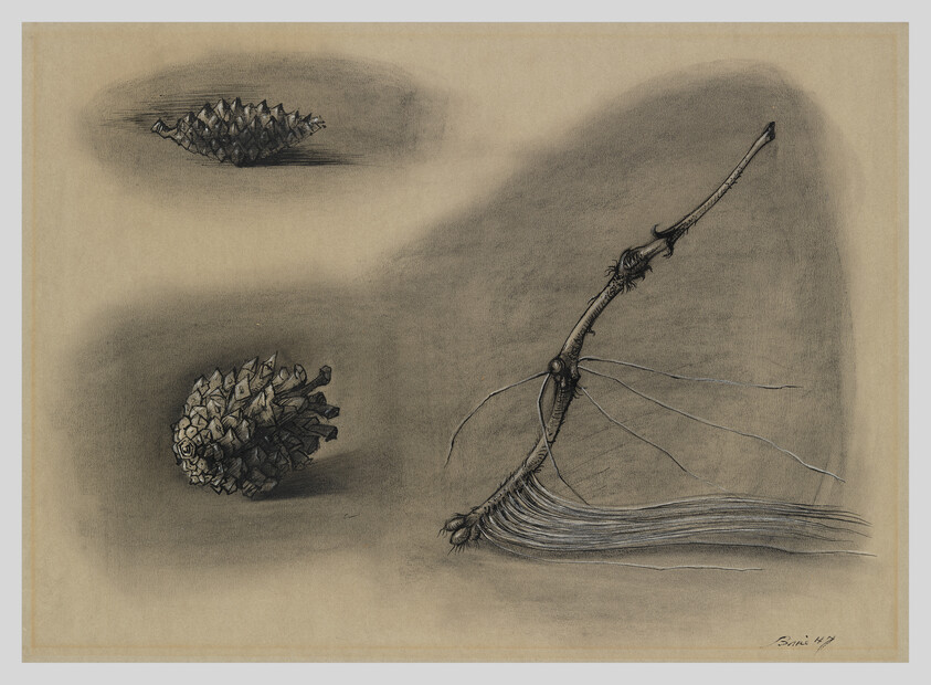Detailed charcoal drawing of two pine cones and a broken branch with exposed fibers.
