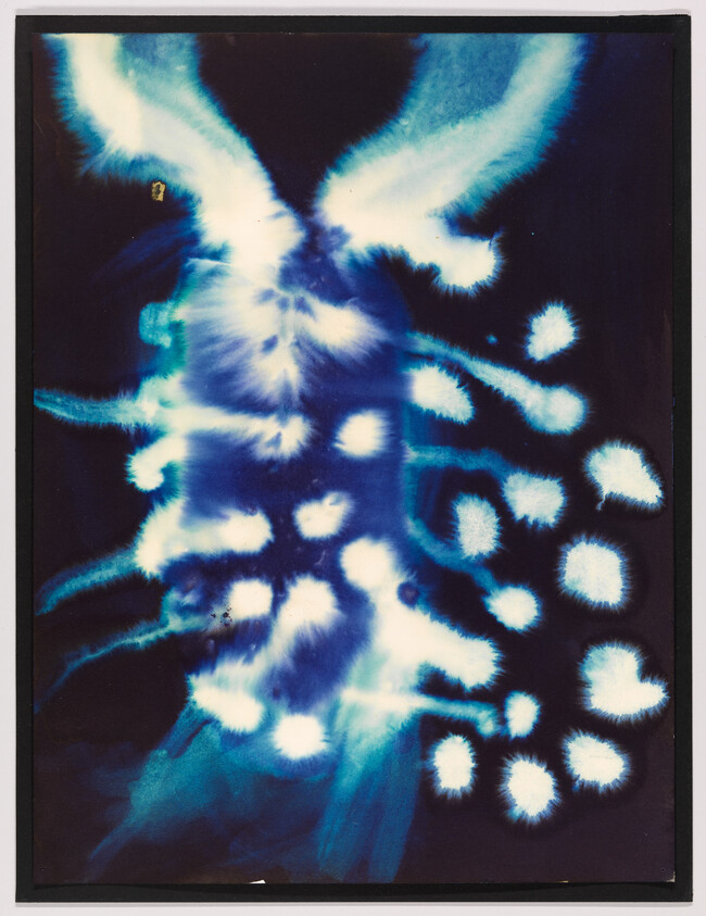 Abstract blue and white burst pattern with feathered, radiating shapes against a dark background.