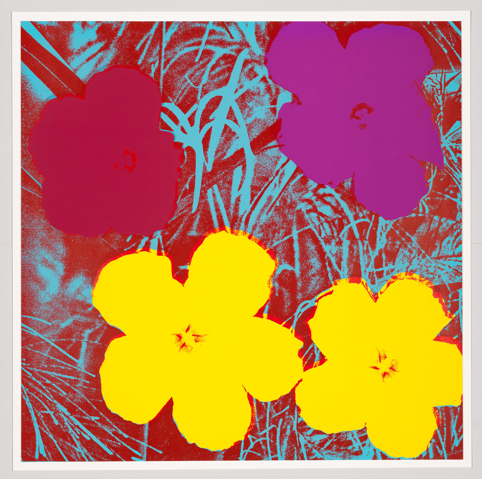 Four bold, pop-art style flowers in bright yellow, magenta, and purple against blue-red background.