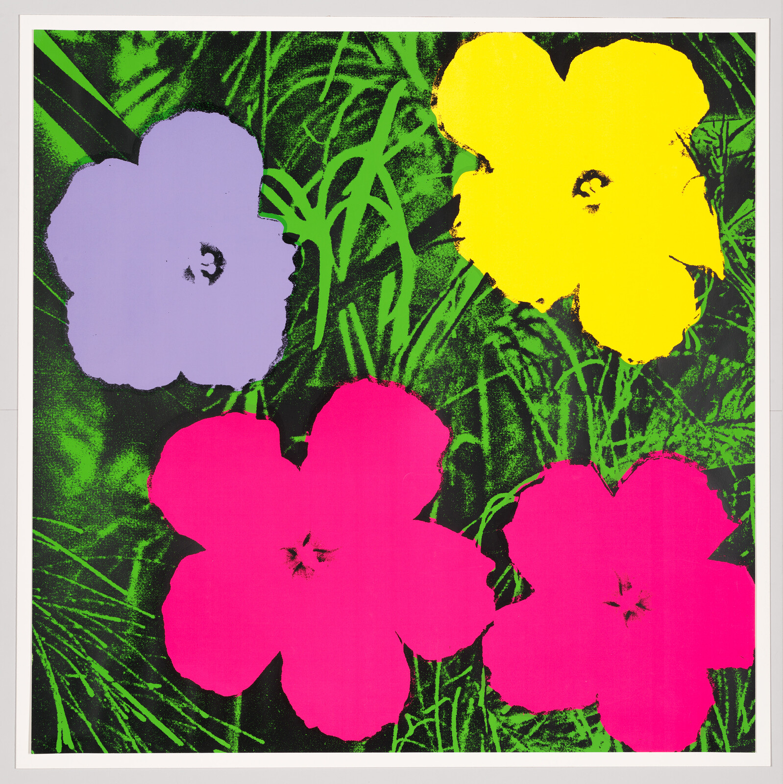 Four large flat flowers in bright yellow, purple, and pink on green grass.