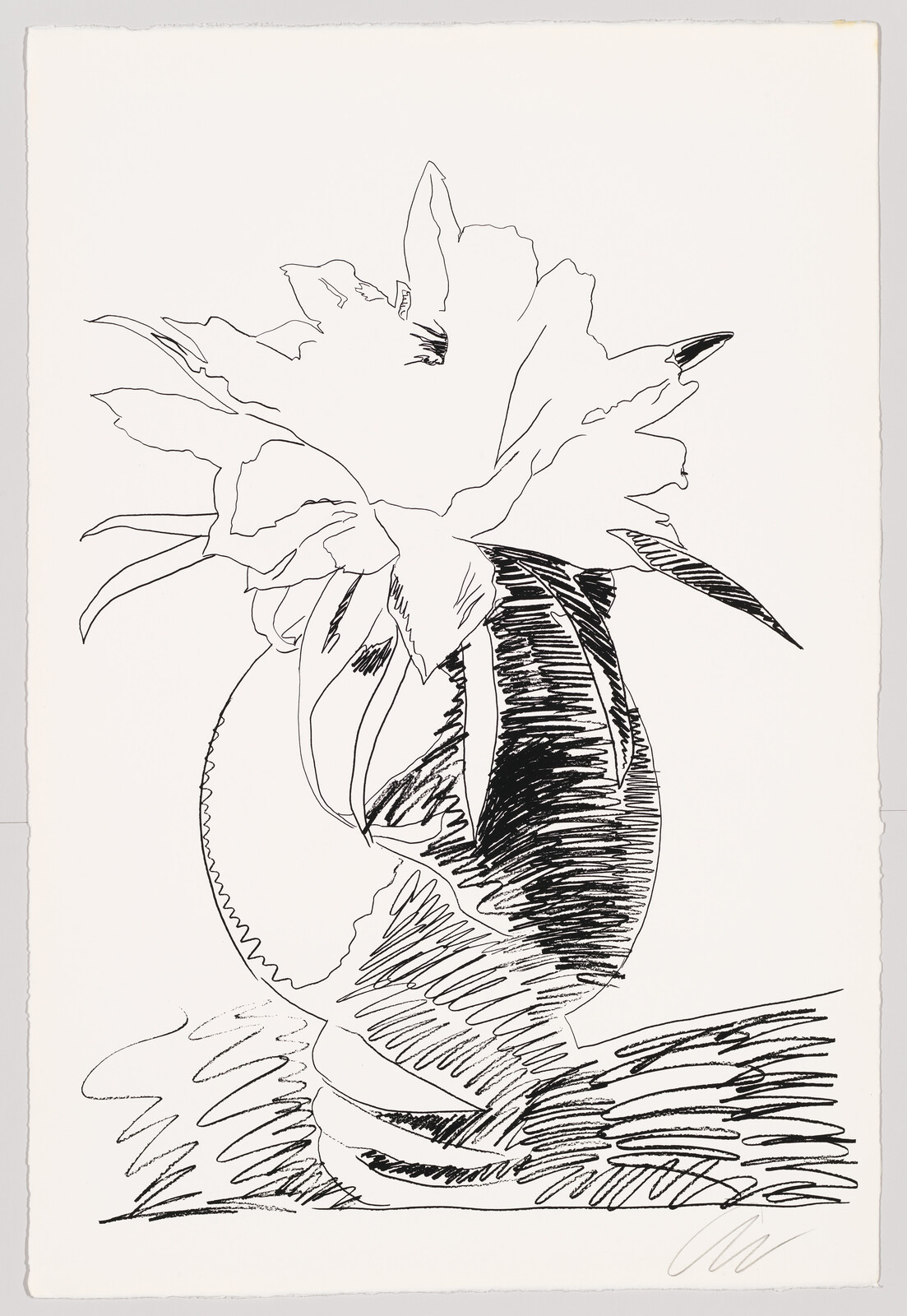 A black and white ink drawing of a large, detailed flower in a vase, with bold strokes and shading, on a white background.