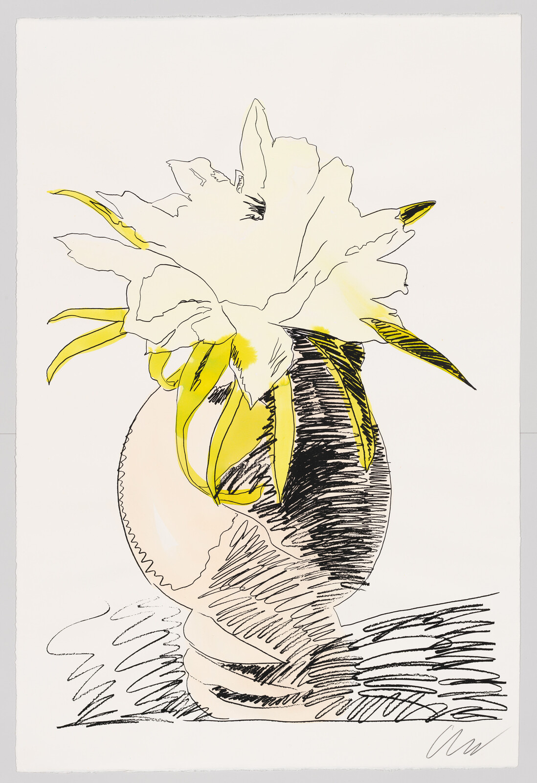 Illustration of a white flower with yellow accents in a striped vase, minimalistic style with sketch lines.
