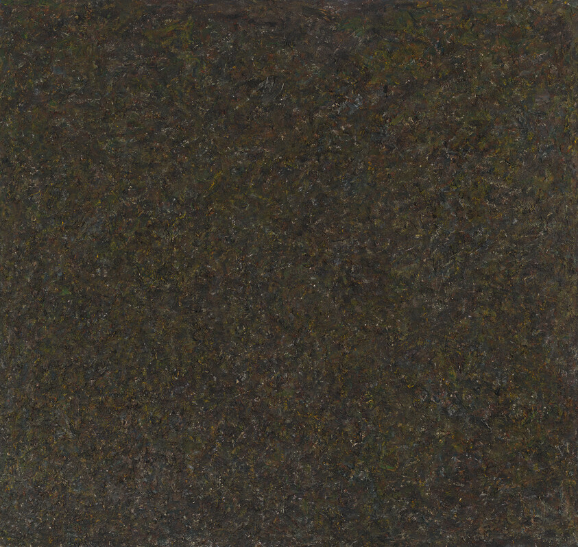 Dark mottled brown-black textured surface with irregular specks and rough painterly strokes.