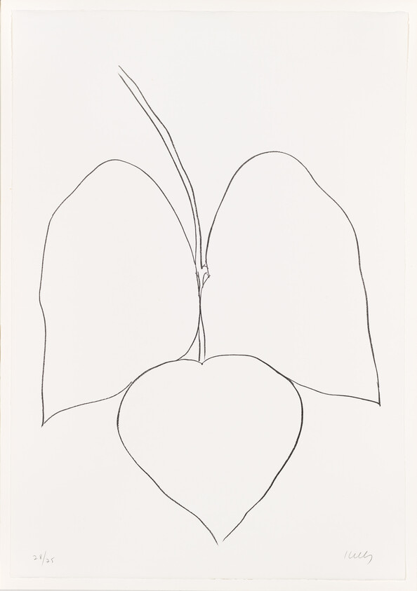 Single simple line drawing of a hanging heart-shaped leaf with two larger leaves above.