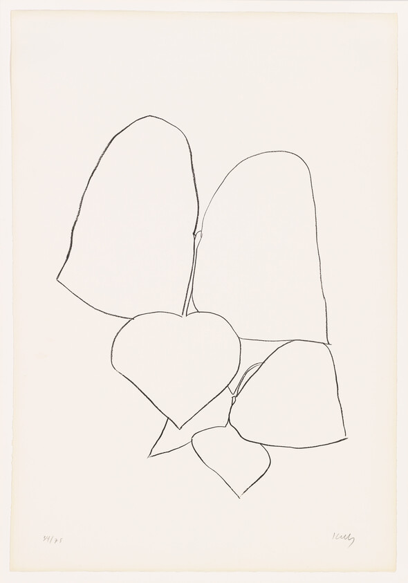 Five outlined heart-shaped leaves connected by thin stems on a plain background.