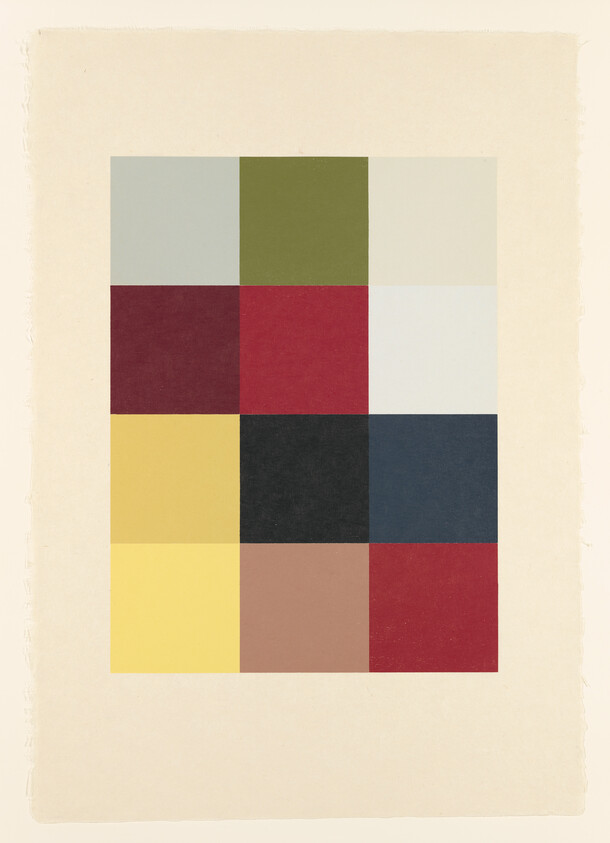 A rectangular grid of twelve colored squares in muted green, red, yellow, black, blue, and beige.