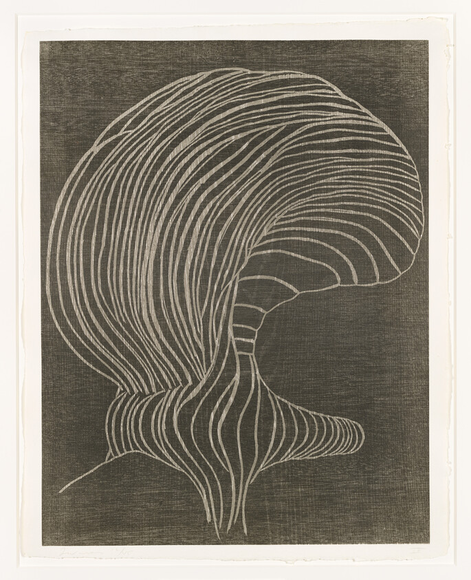 An etching of a stylized jellyfish with flowing tentacles, featuring a series of curved lines on a textured dark background, giving the impression of movement and fluidity. The artwork is bordered by a lighter margin, and there appears to be a signature at the bottom left corner.