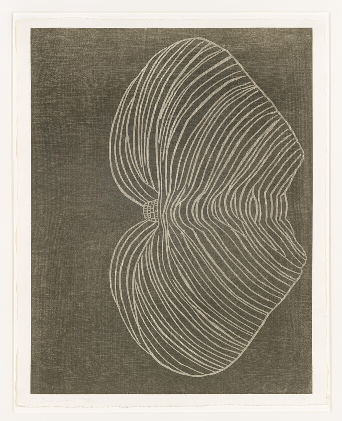 An abstract artwork featuring a series of white lines creating a shell-like pattern on a textured dark background, all contained within a light border. The piece has a signature at the bottom left corner.