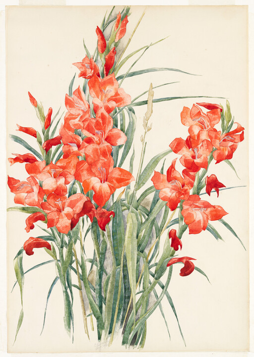 A tall bouquet of red gladiolus flowers with long green leaves against a pale background.