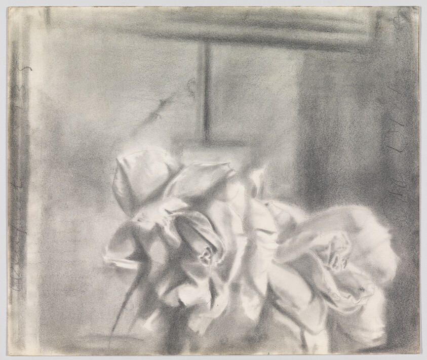 Soft charcoal drawing of three roses with blurred window background.