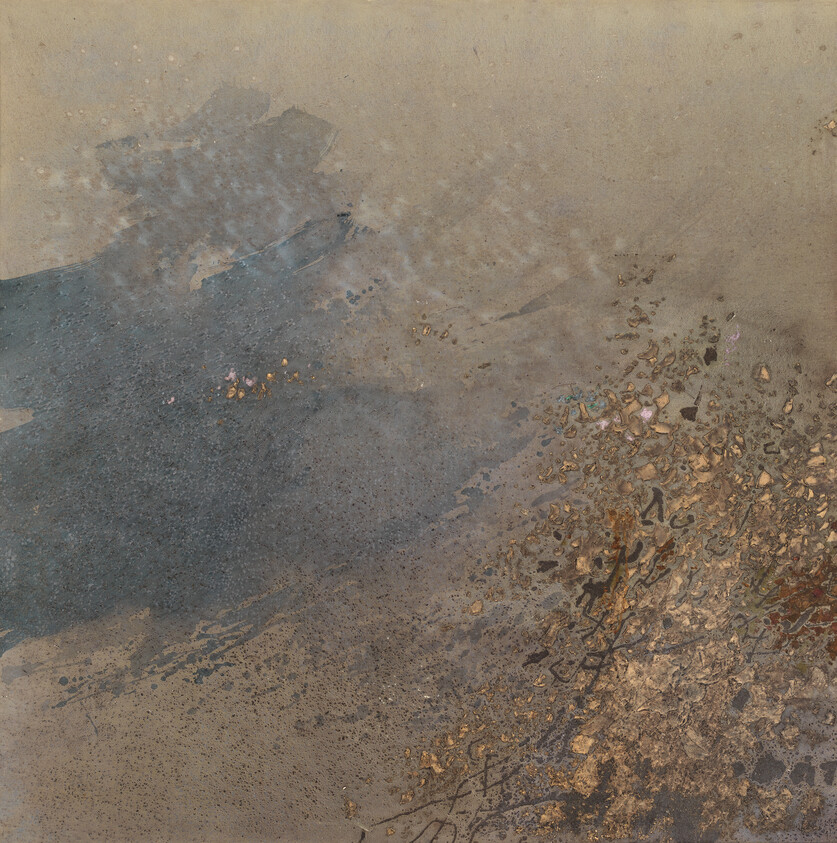 A textured surface with a blend of earthy tones and patches of blue-gray, possibly a wet area reflecting light, with scattered debris and leaves on the right side, suggesting an outdoor setting after rain.