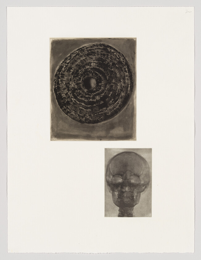 A print featuring two separate images on a white background: the top image is a dark circular etching with concentric patterns, resembling a fossil or geological formation; the bottom image is a grayscale X-ray of a human skull viewed from the front. Both are centered on their respective halves of the print, with the artist's signature in the top right corner.