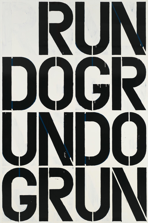 Large bold black letters spell 'RUN DOG RUN' across a white background.