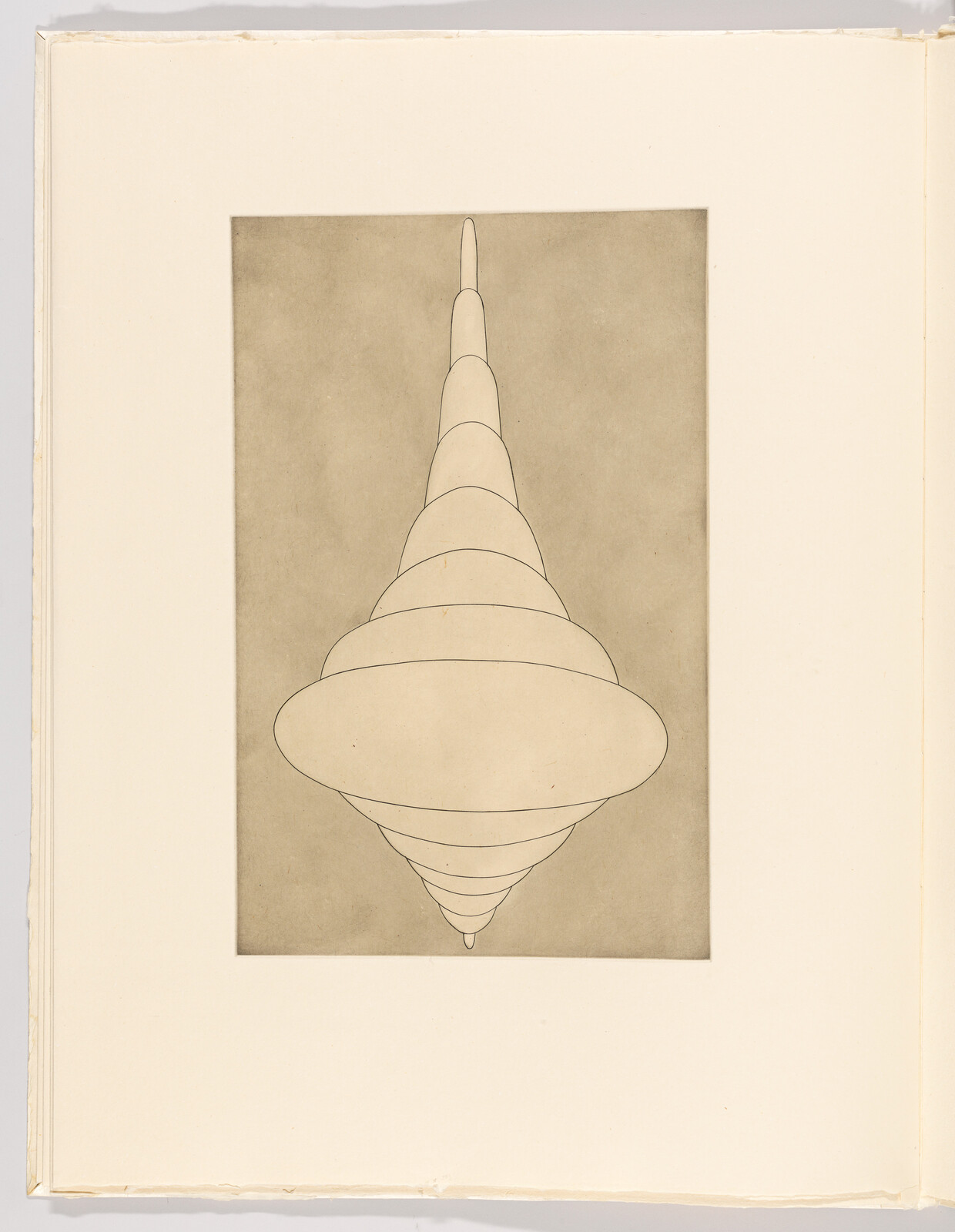 A tall, vertically stacked rounded cone shape centered on a rectangular faded background.