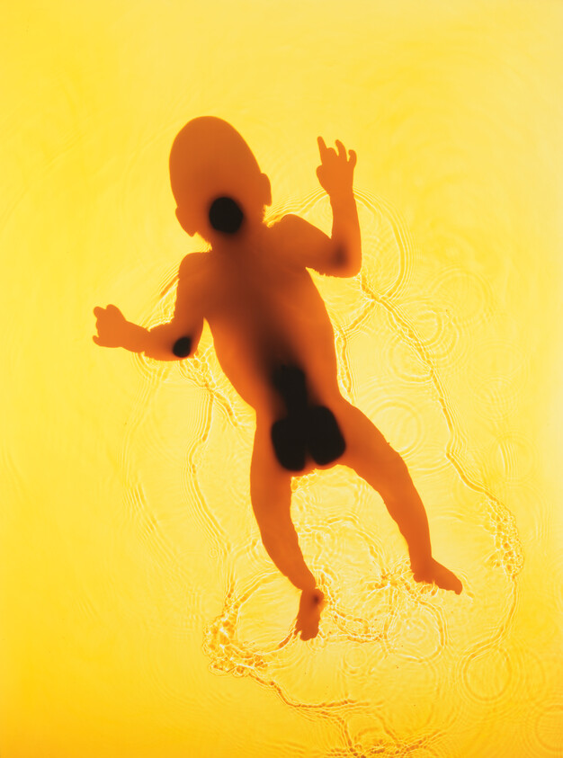 A silhouetted baby floats on its back in golden water with gentle ripples.