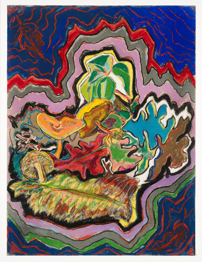 Bright abstract leaves and mushrooms clustered in the center surrounded by layered wavy color bands.