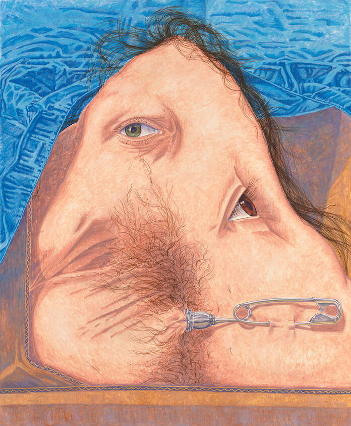 A surreal close-up of two merged facial profiles with coarse hair held by a large safety pin.