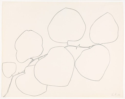 A minimalist black line drawing of a branch with seven large round leaves on cream paper.