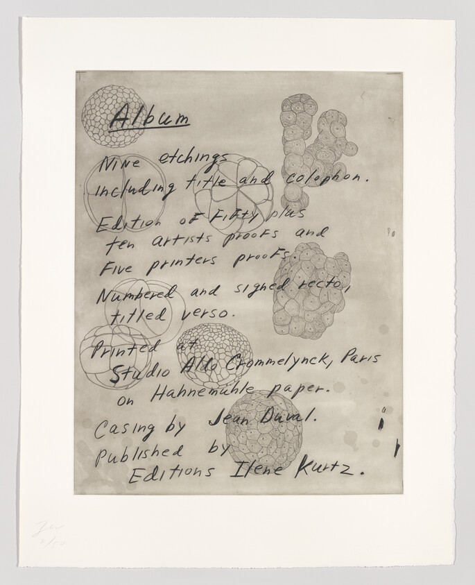 Handwritten page titled "Album" listing etching edition details with circular cellular sketches.