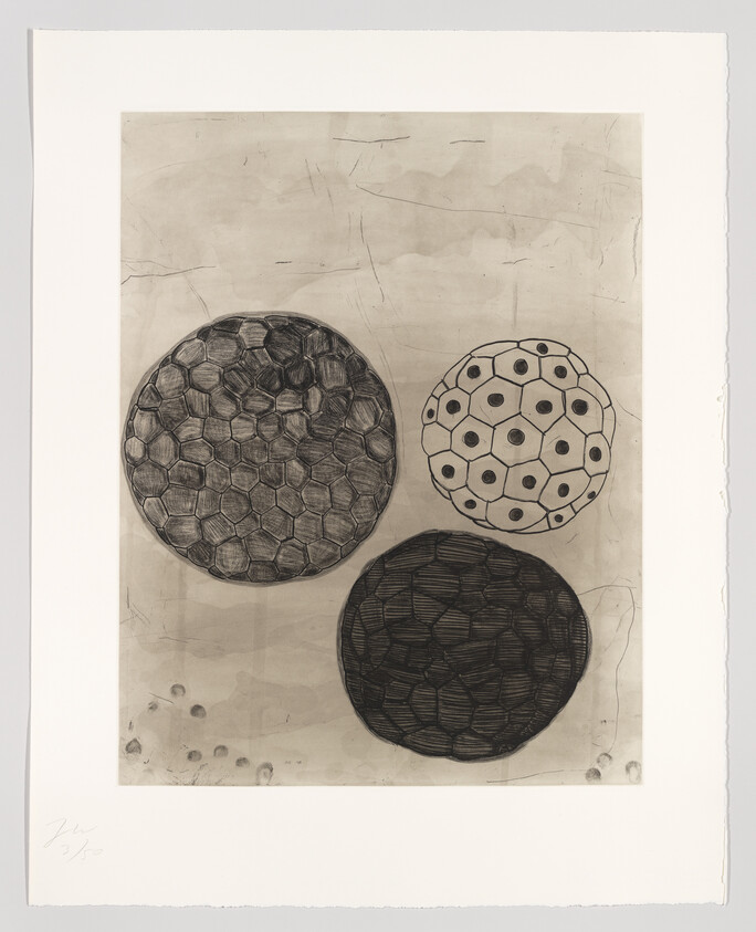 A monochromatic etching featuring three circles with different patterns resembling cellular structures on a textured background, with the artist's signature and edition number on the lower left.