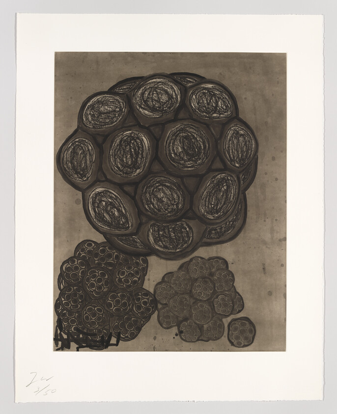 A print featuring an abstract composition of clustered circular forms resembling cells or organic structures, with varying shades of brown and black on a beige background. The image is numbered and signed by the artist in the lower left corner.